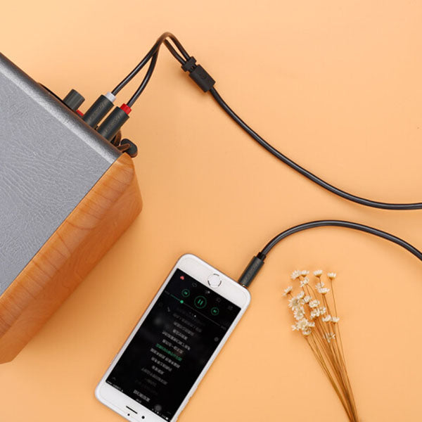 NNEDSZ 3.5mm male to 2RCA male cable 3M (10512) - Image 2