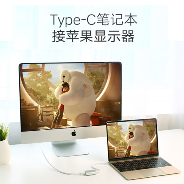 NNEDSZ USB-C to MIni Display port Adapter (40867) - Image 4